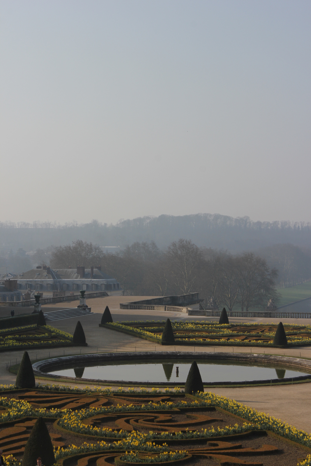 Garden in March