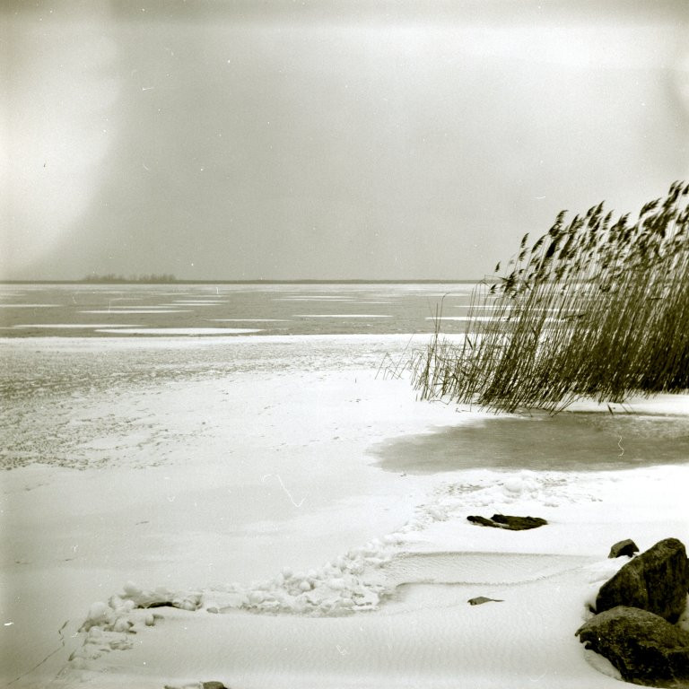 Neusiedler on ice