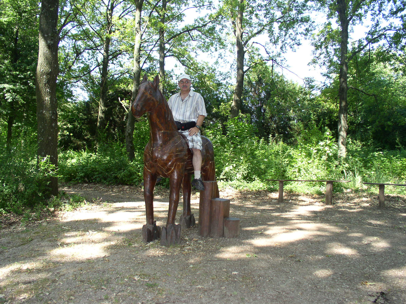 2767 2014. június 12. Mohács-Történeti emlékpark