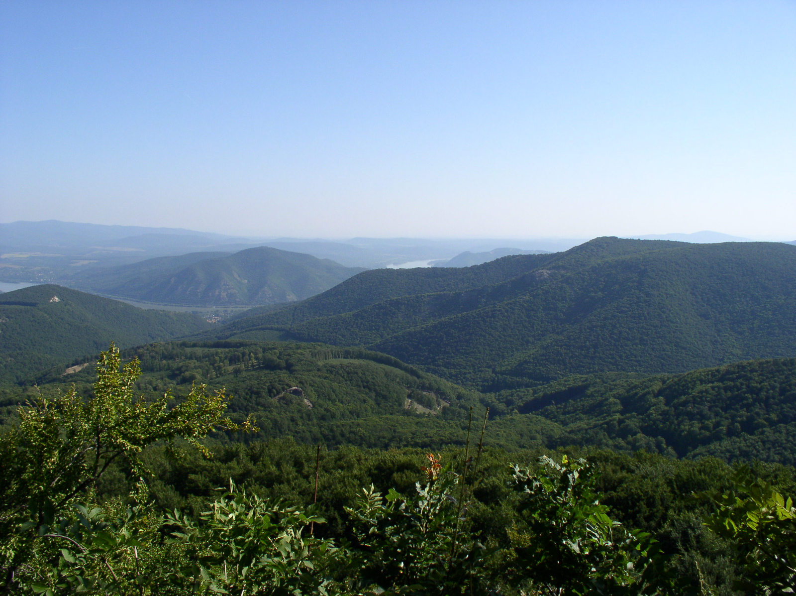 1480 2009.08.20 Dobogókő erdő