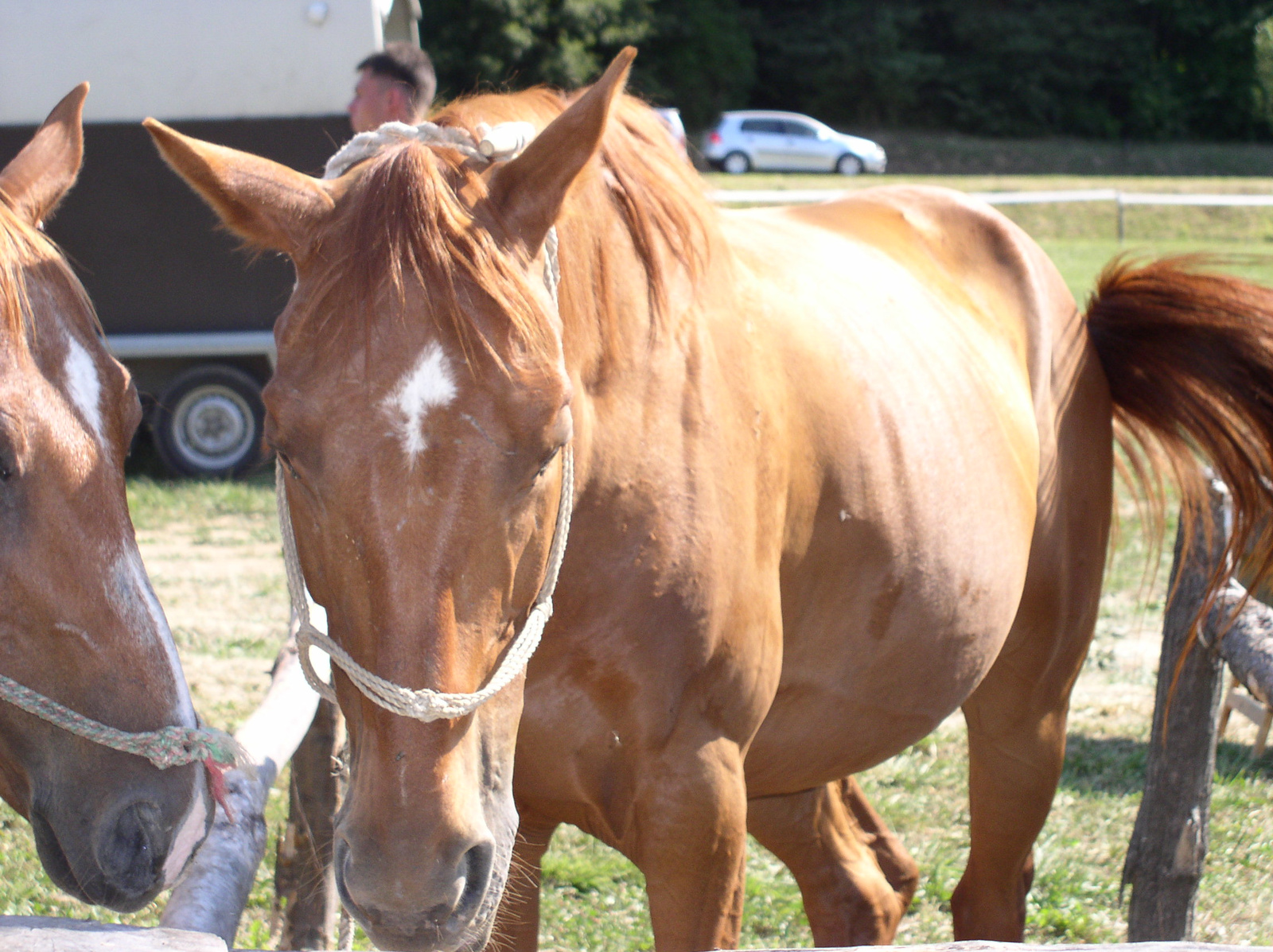 0649 2007.07.08 Orfű-Kemencés