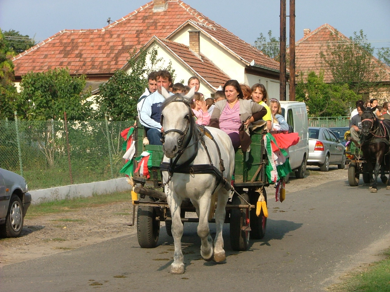 2009-es szentmártonkátai Falunap 092