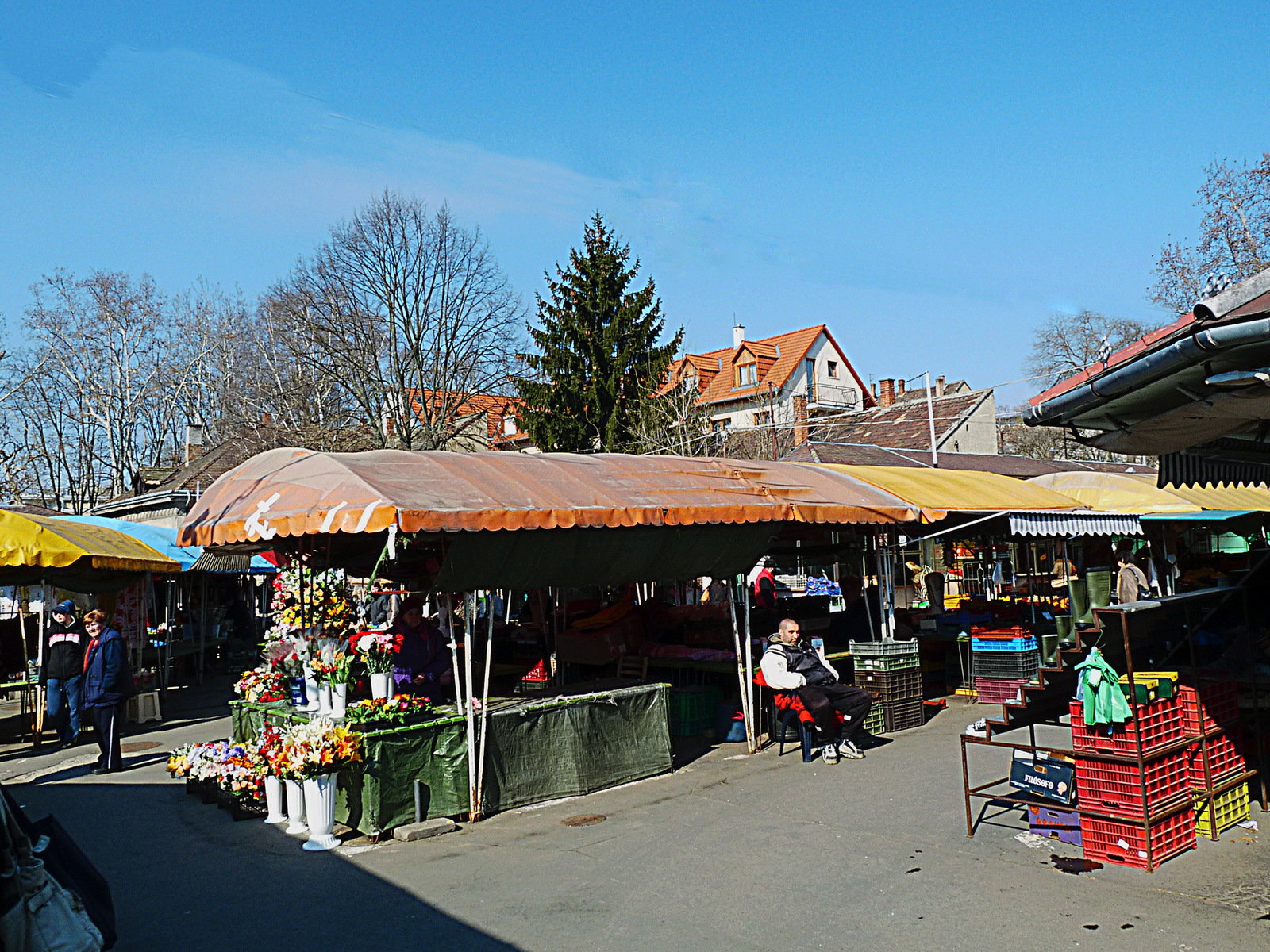 20100306 Kaposvár8