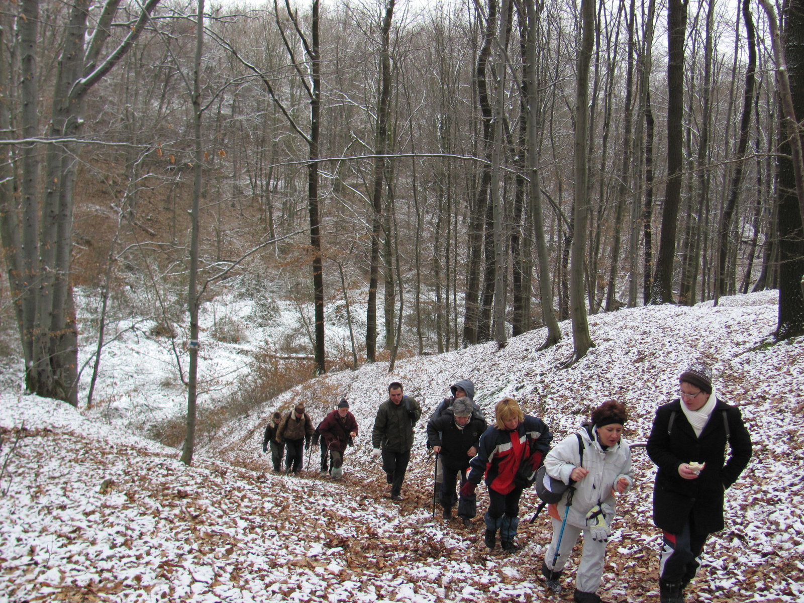 2011.01.22.HHetény-Somogy nyílttúra 021