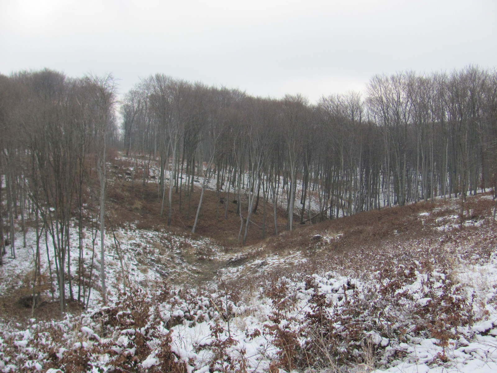 2011.01.30.Orfű-Pécs