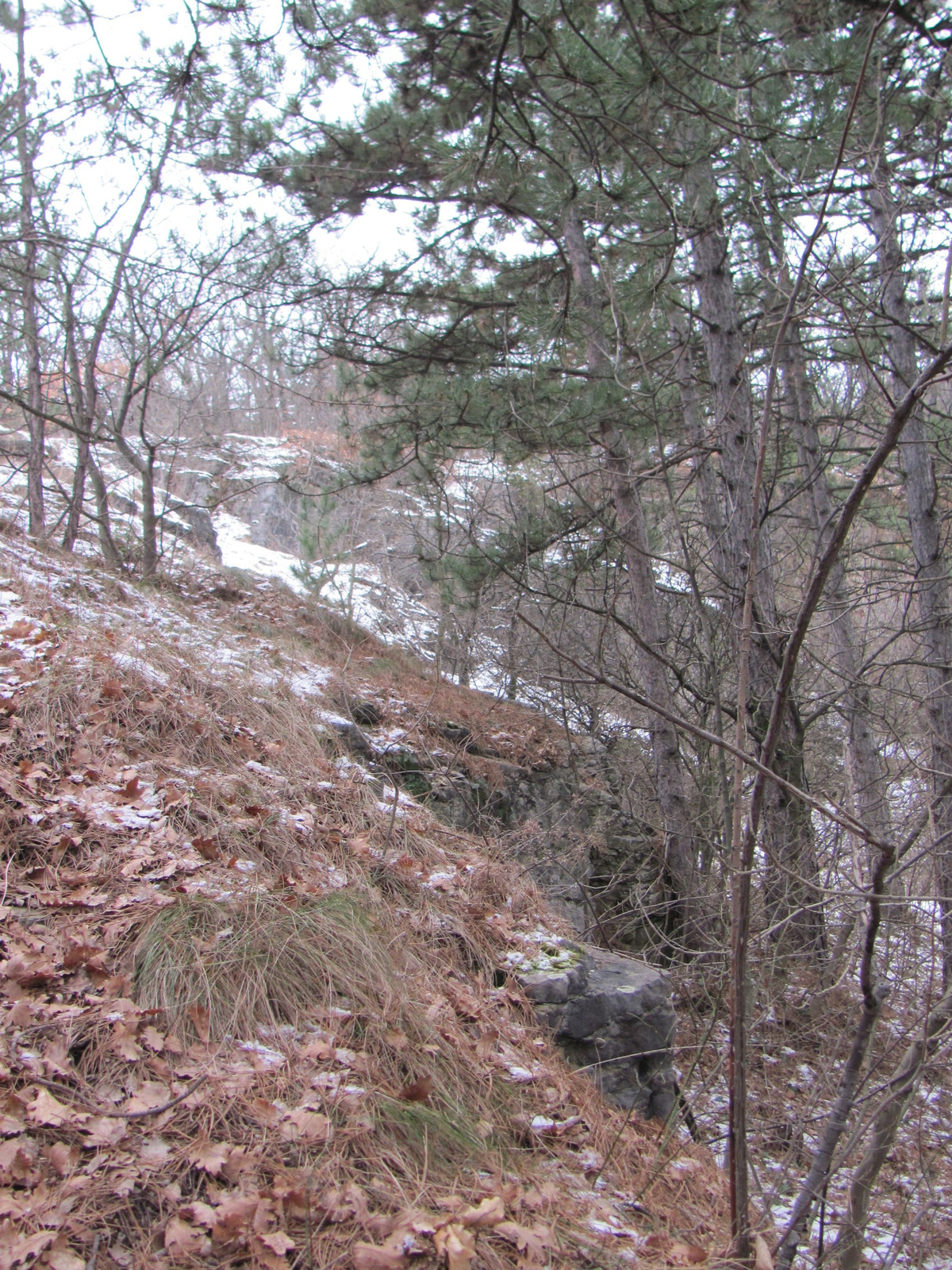 2011.01.30.Orfű-Pécs