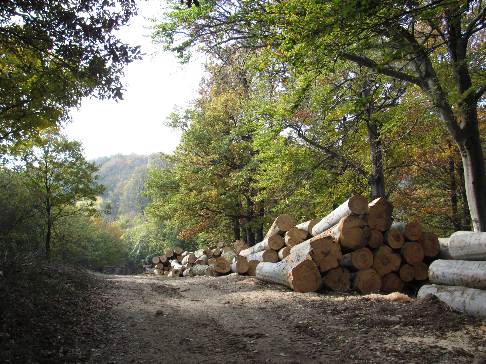 2011.10.31.Zengő,Réka-völgy,Pécsvárad 001