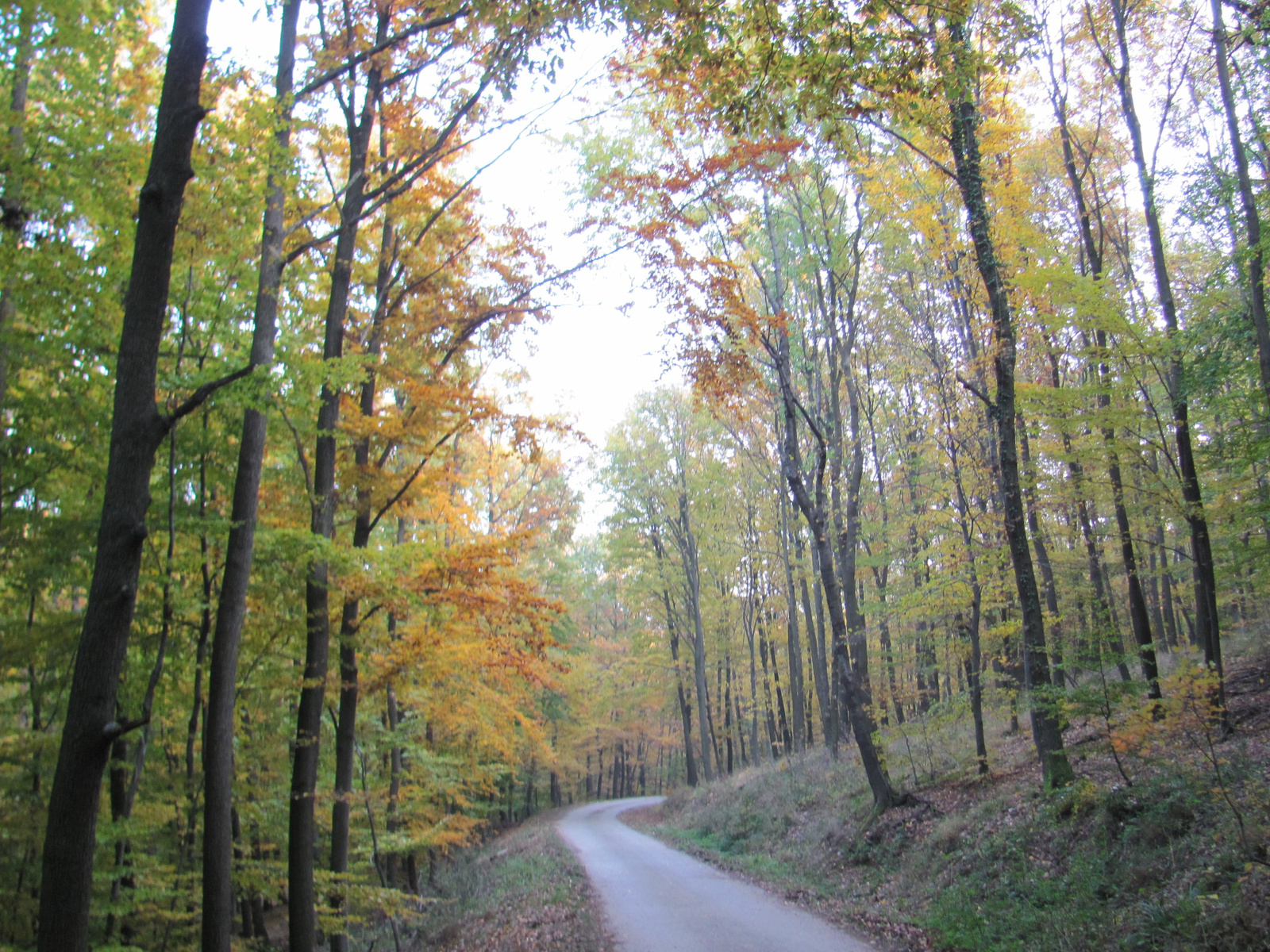 2011.10.31.Zengő,Réka-völgy,Pécsvárad 065