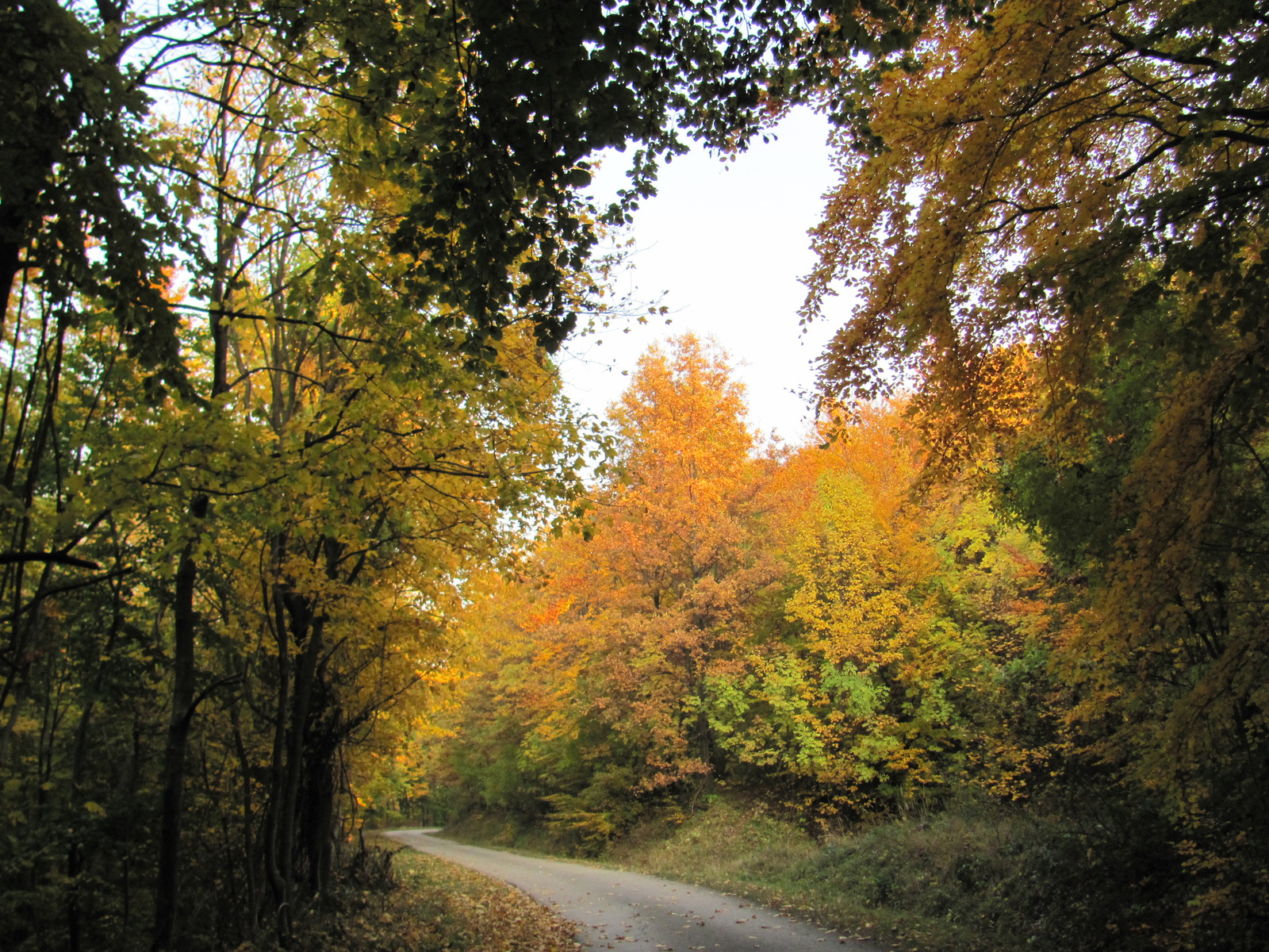 2011.10.31.Zengő,Réka-völgy,Pécsvárad 068