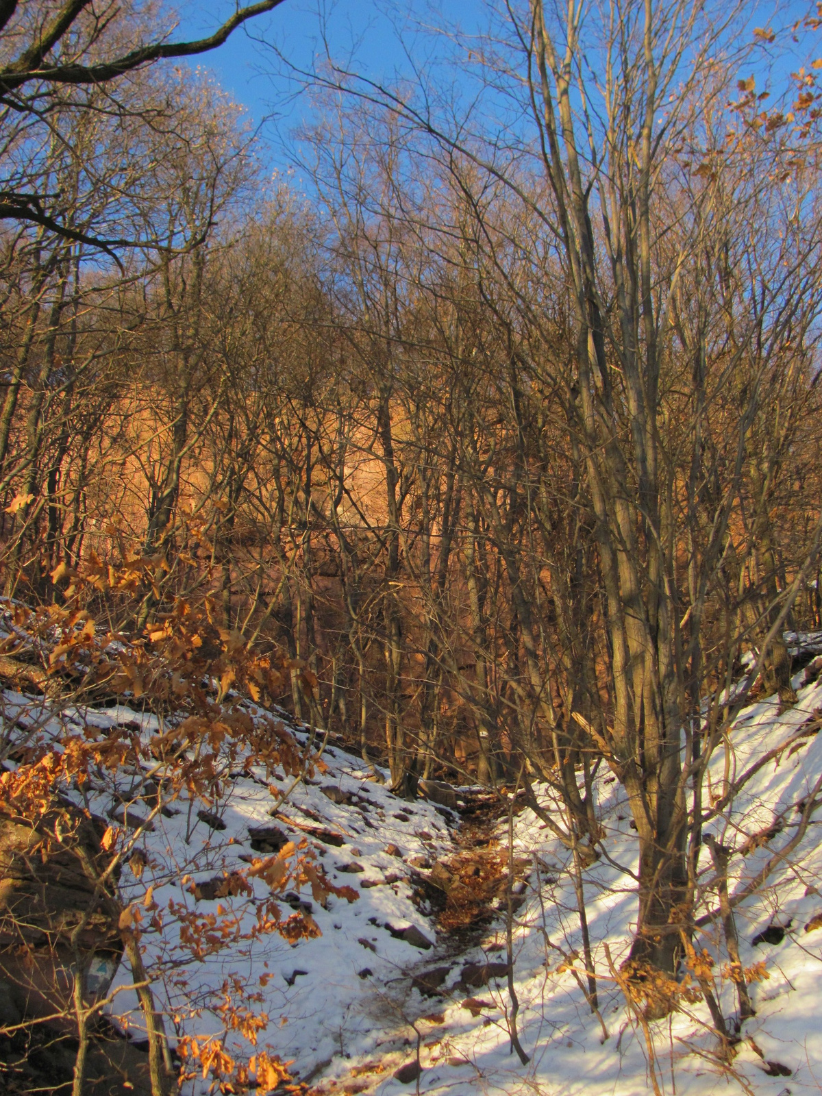 2011.12.31.Jakb-hegy,Panoráma út 072