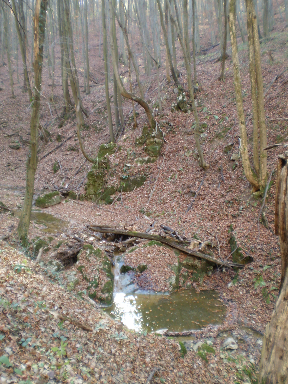 20101113 Orfűi Nagy kő oldal