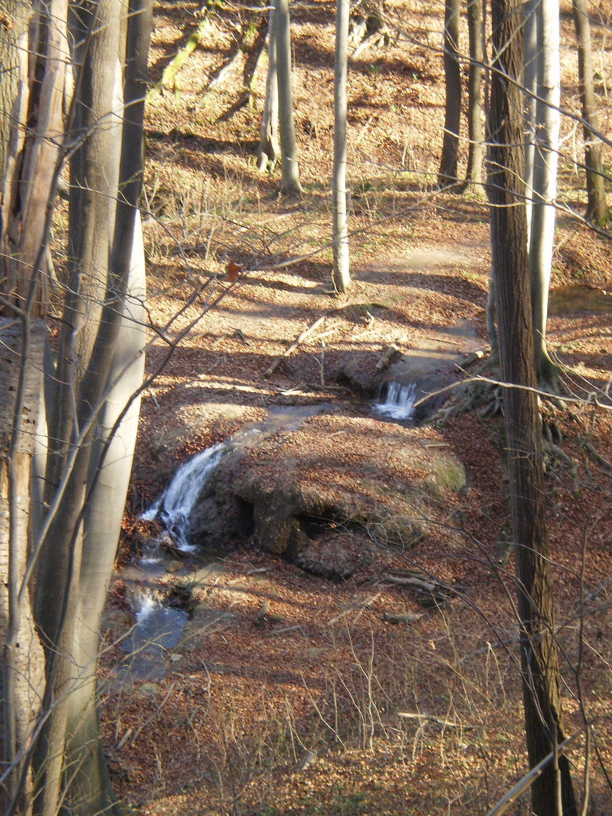 201011115Dömörkapu-Melegmány-Gyükés 099