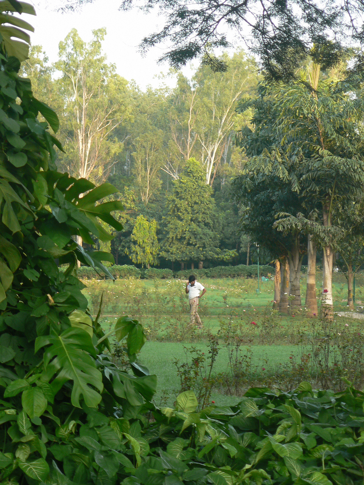 Delhi, India