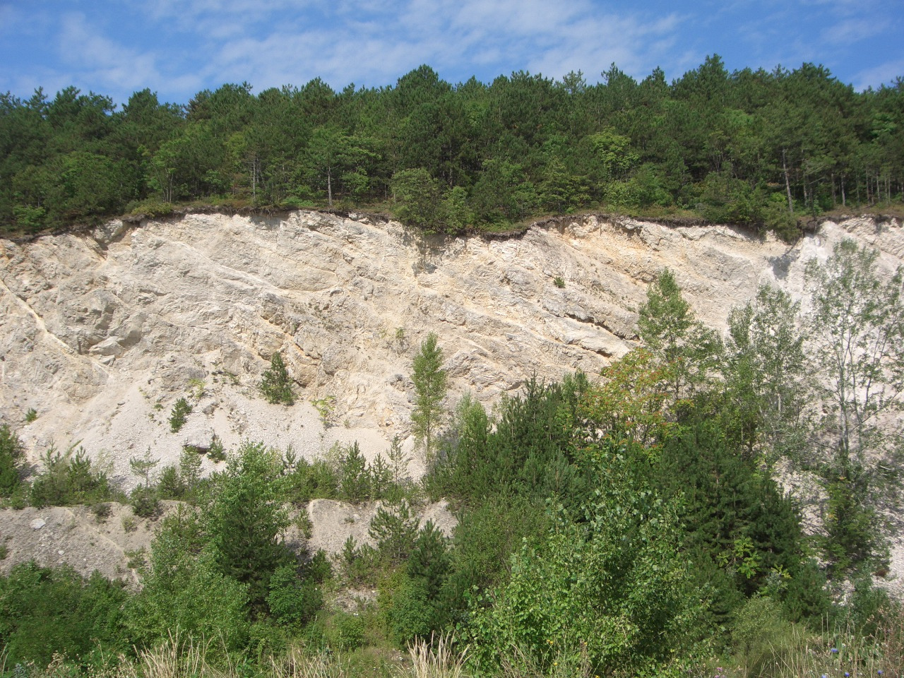 Gyenesdiás - Kőfejtő 2010.08.04-11. 036