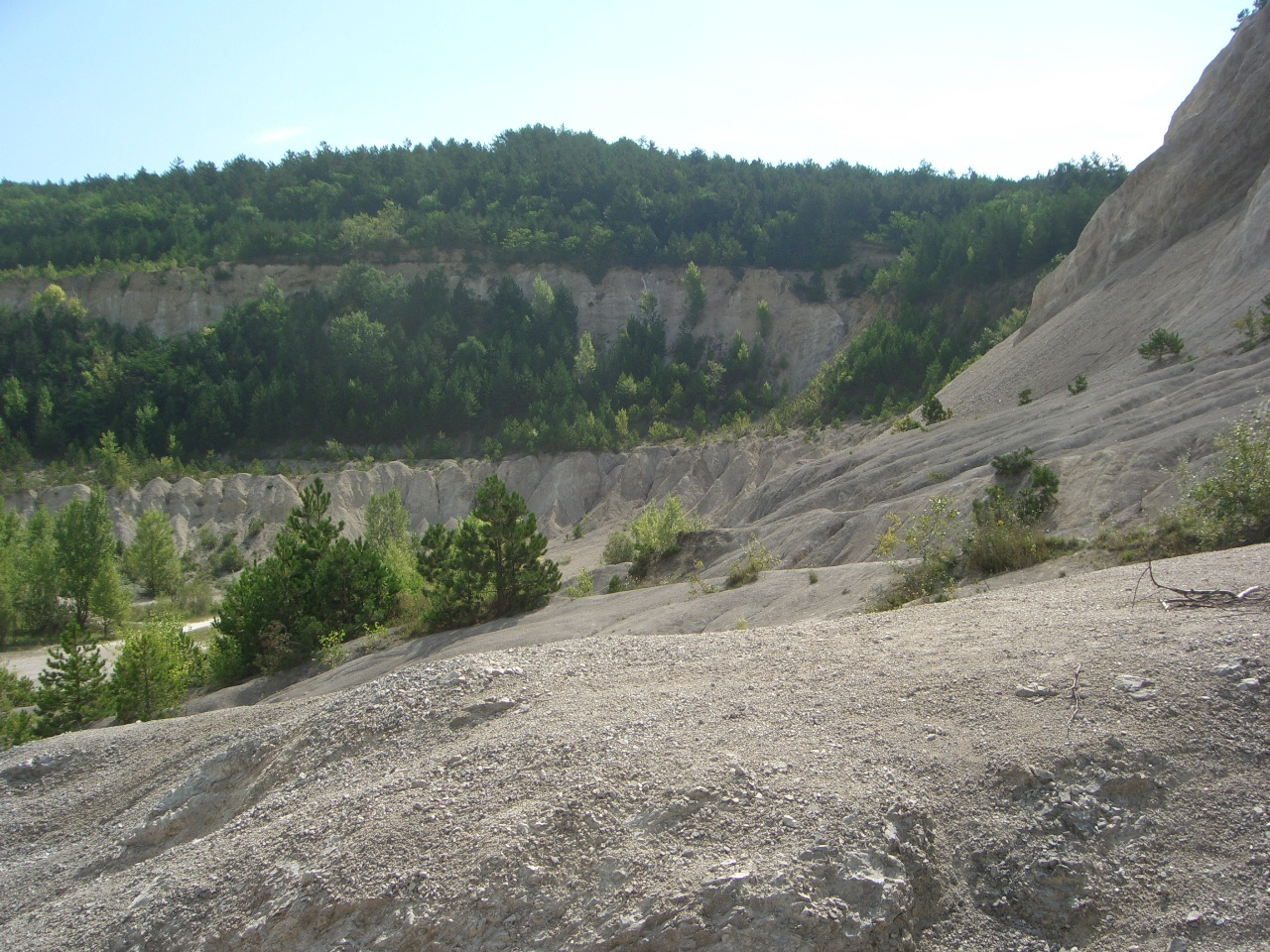 Gyenesdiás - Kőfejtő 2010.08.04-11. 043