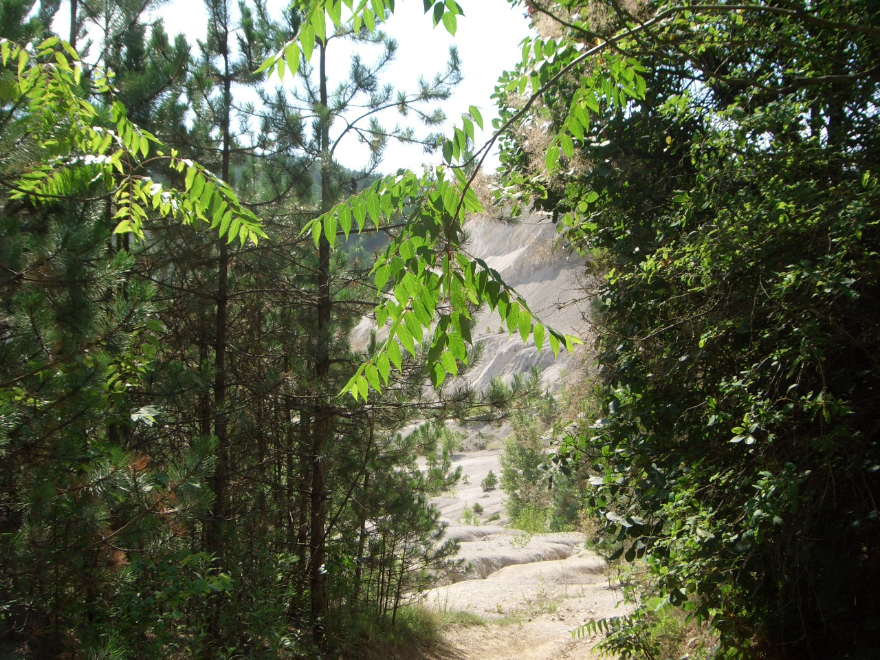 Gyenesdiás - Kőfejtő 2010.08.04-11. 059