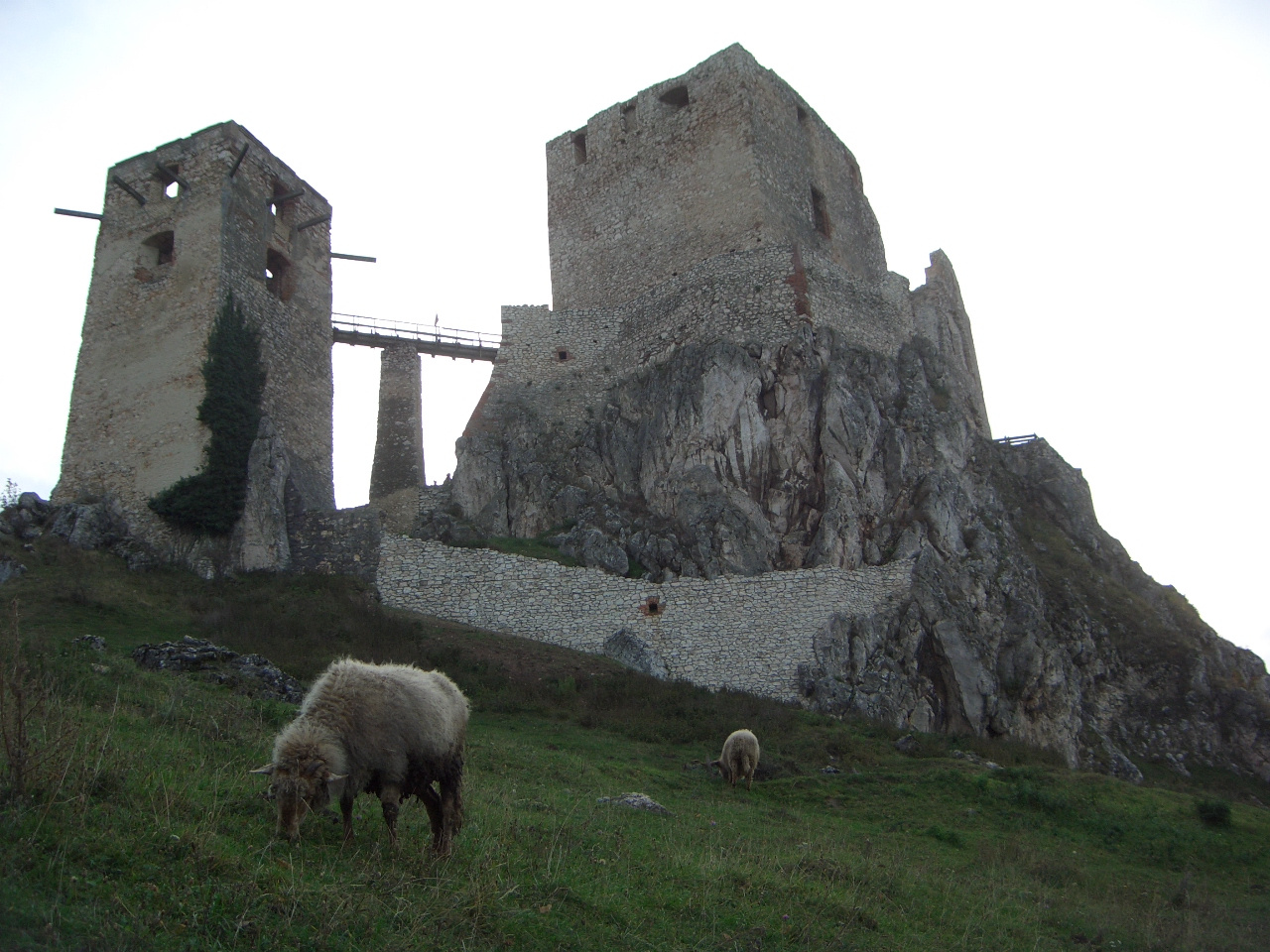 Csesznek 2009.10.27-29. 209