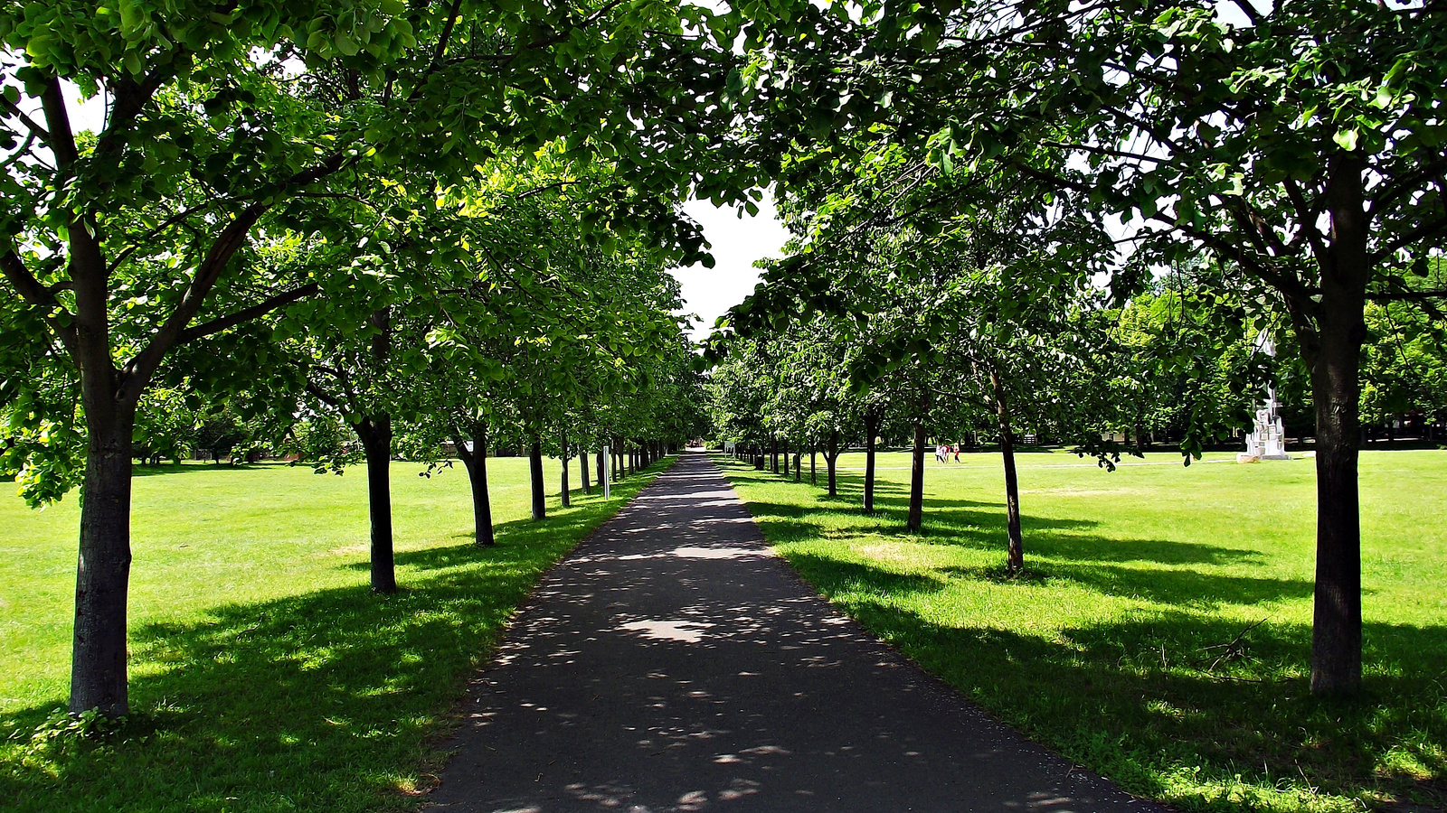 Ópusztaszeri Nemzetipark 155