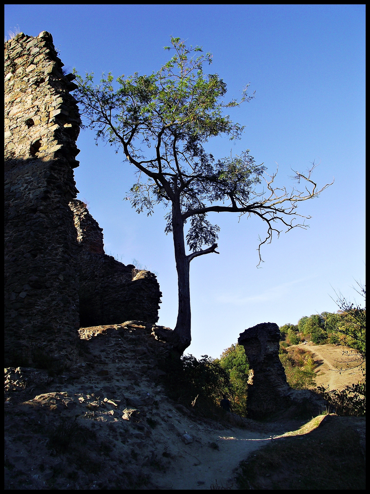 Solymosvár 2012 055