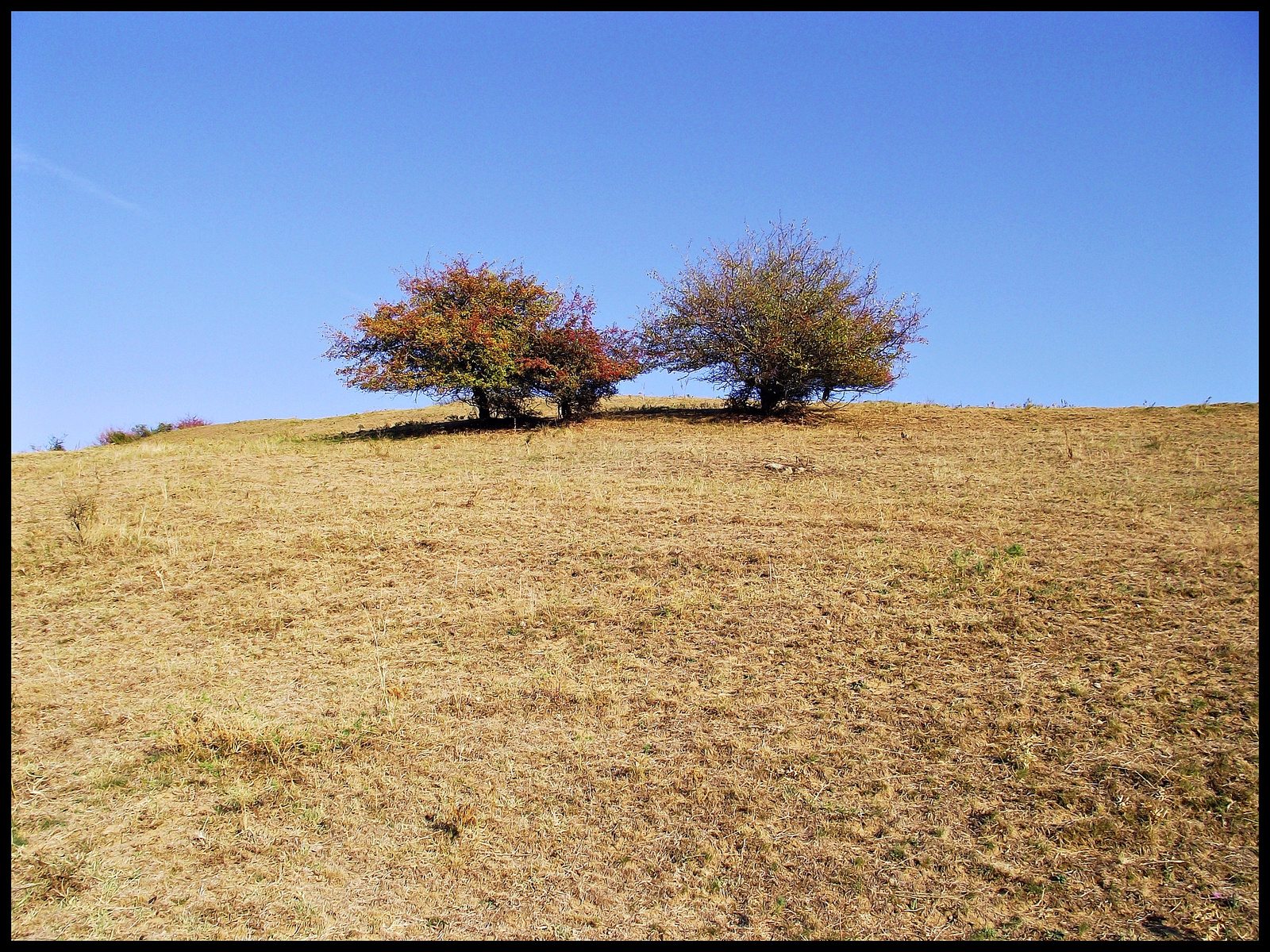 Solymosvári váralja 2012 088