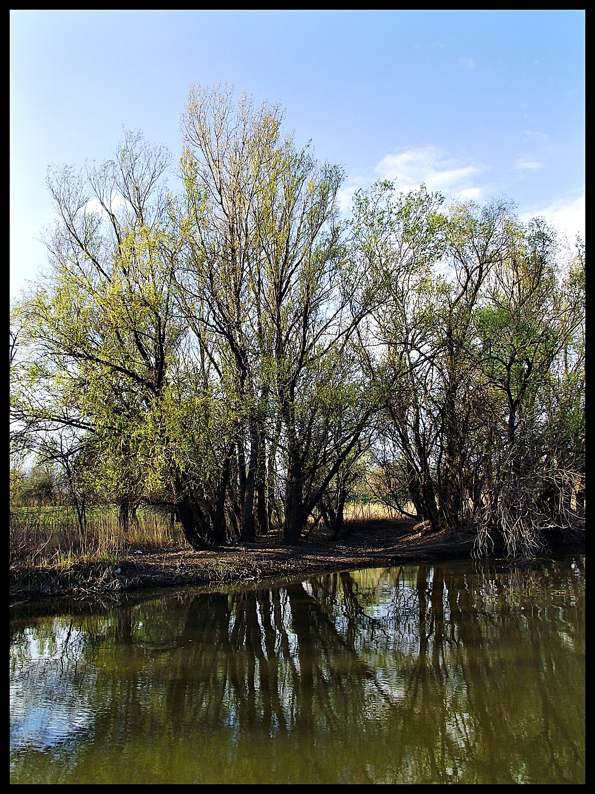 Hortobágy-Berettyó 021