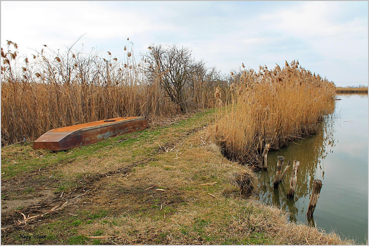 Hortobágy-Berettyó 038