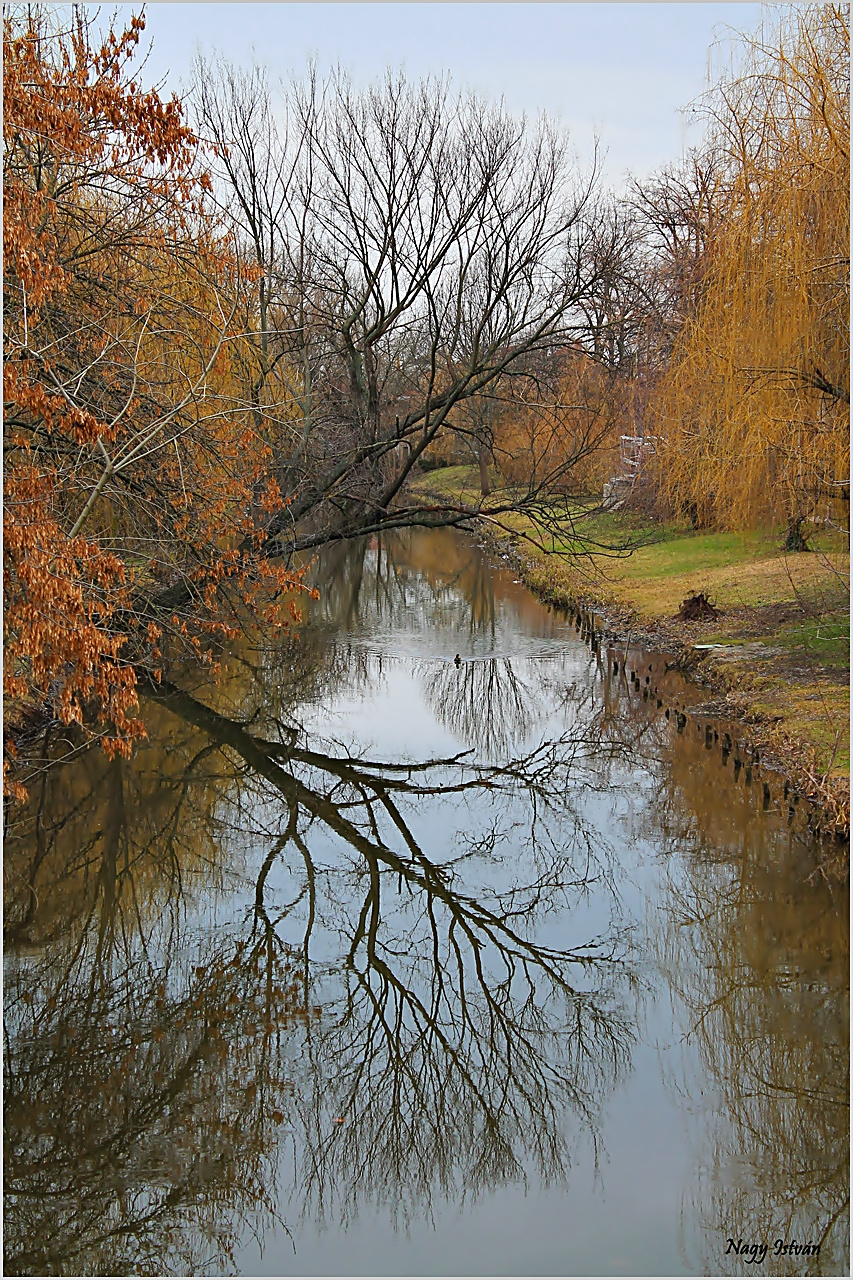 Élővíz-csatorna mentén - Gyula 084