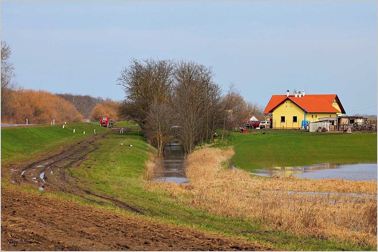 Árvíz 2013 - Hortobágy-Berettyó 074