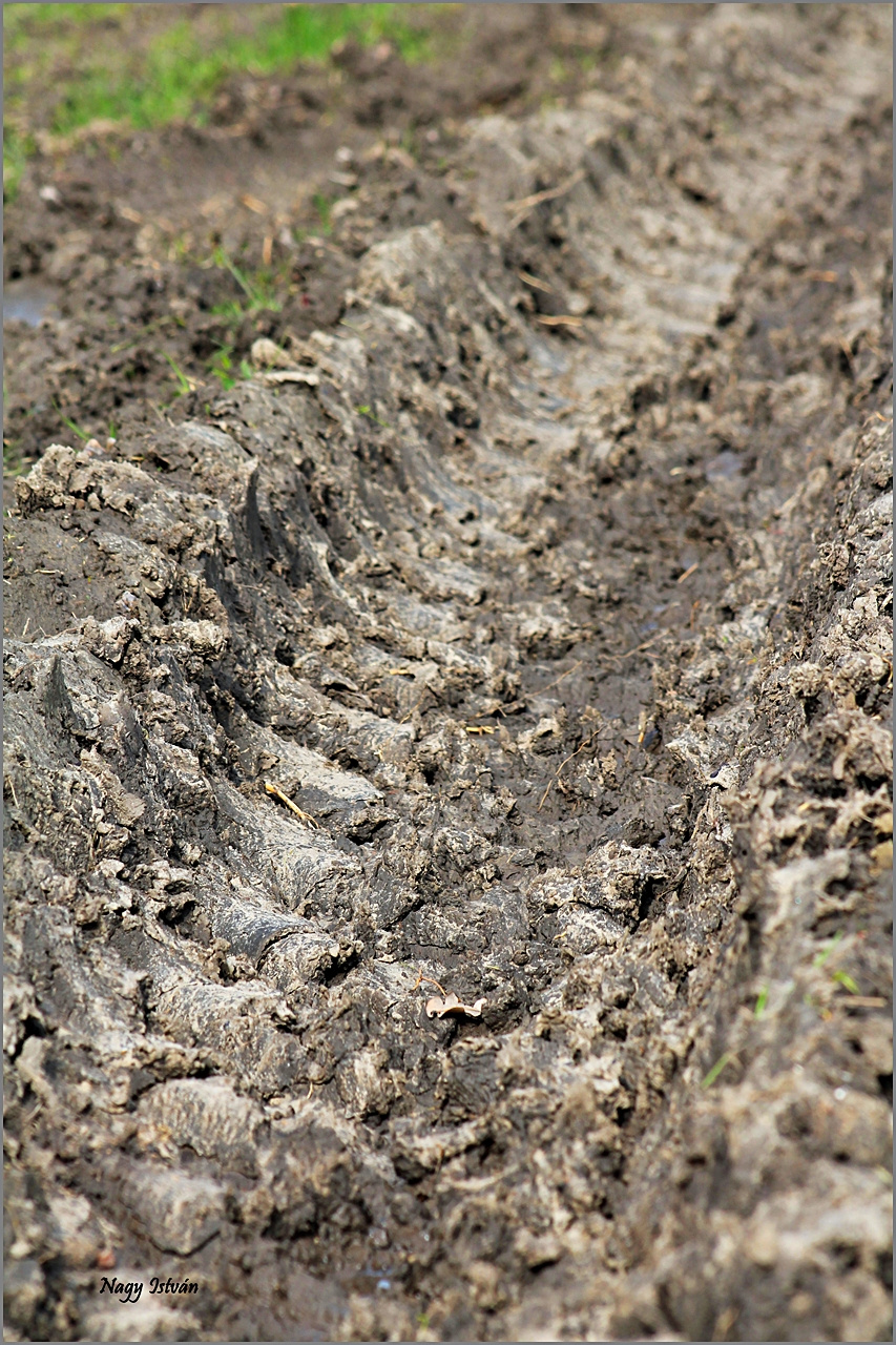 Árvíz 2013 - Hortobágy-Berettyó 082