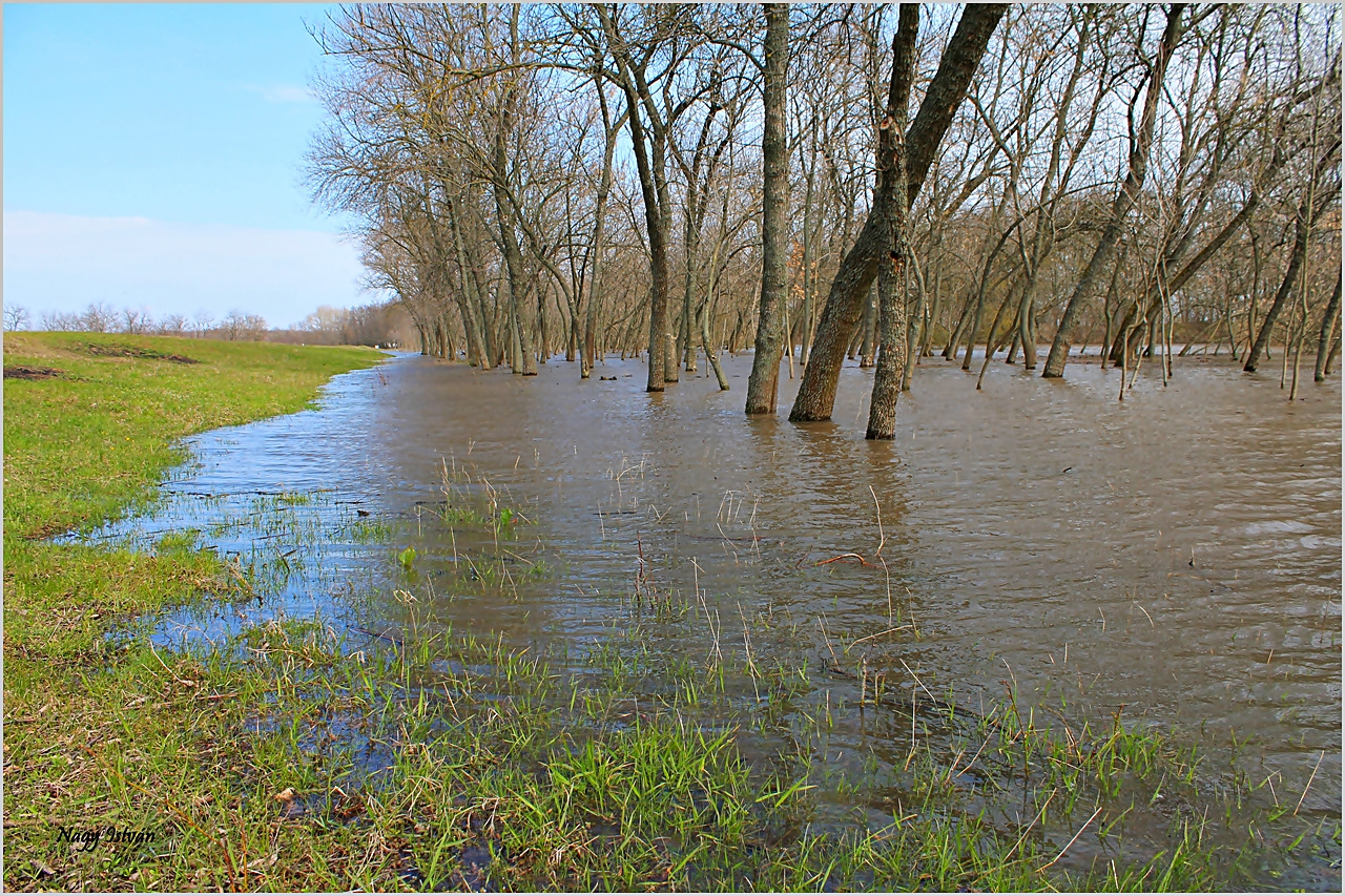 Árvíz 2013 - Hortobágy-Berettyó 012