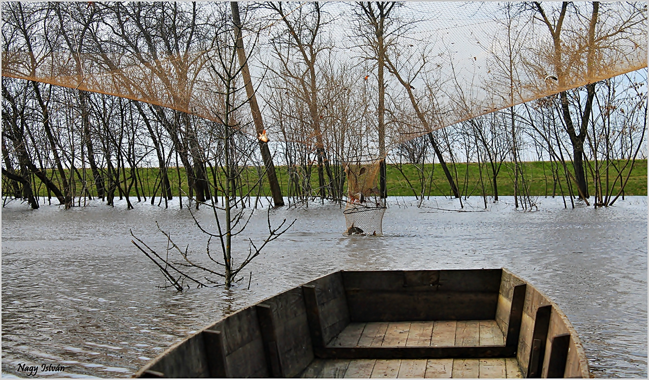 Árvíz 2013 - Hortobágy-Berettyó 044