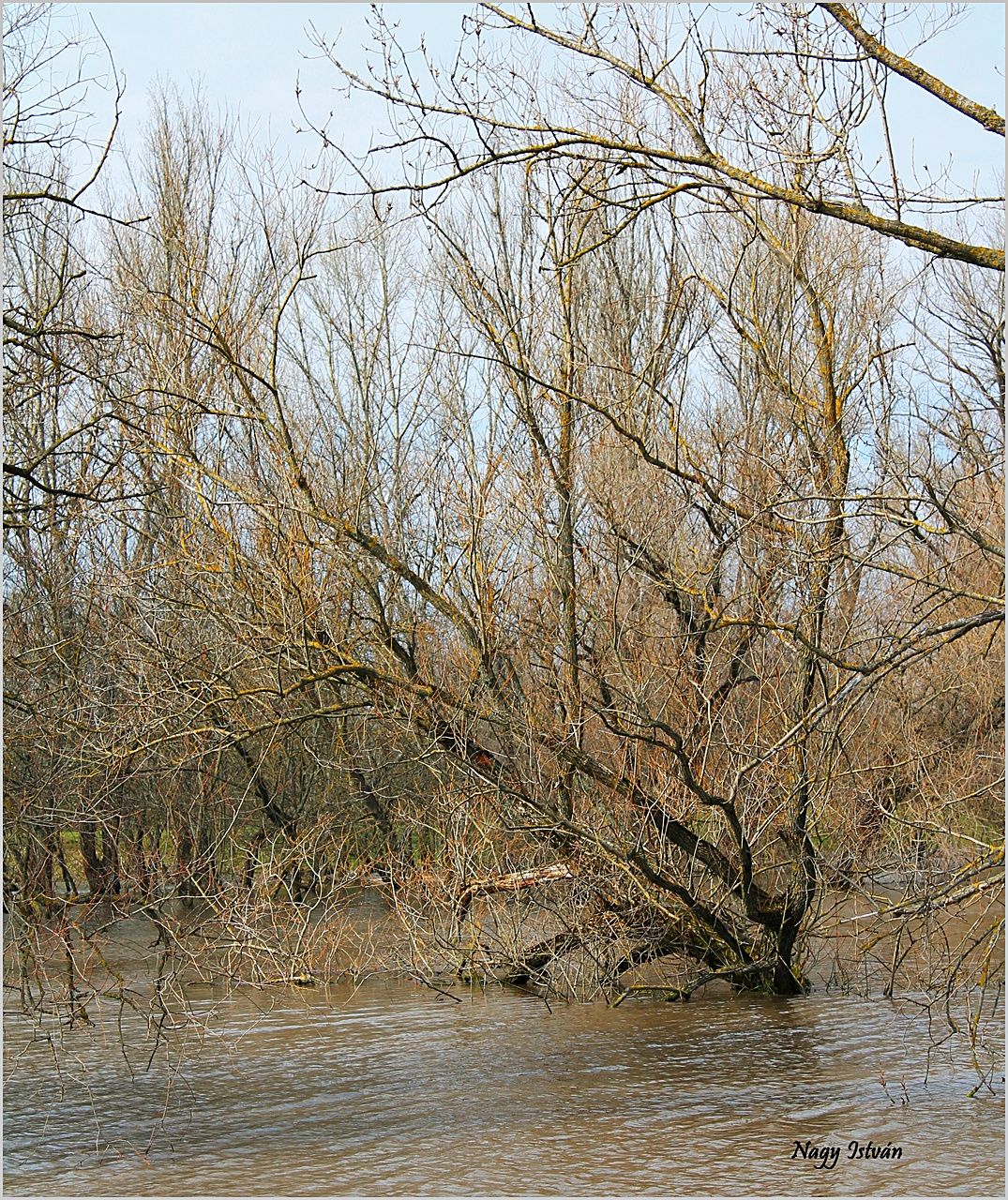 Árvíz 2013 - Hortobágy-Berettyó 068