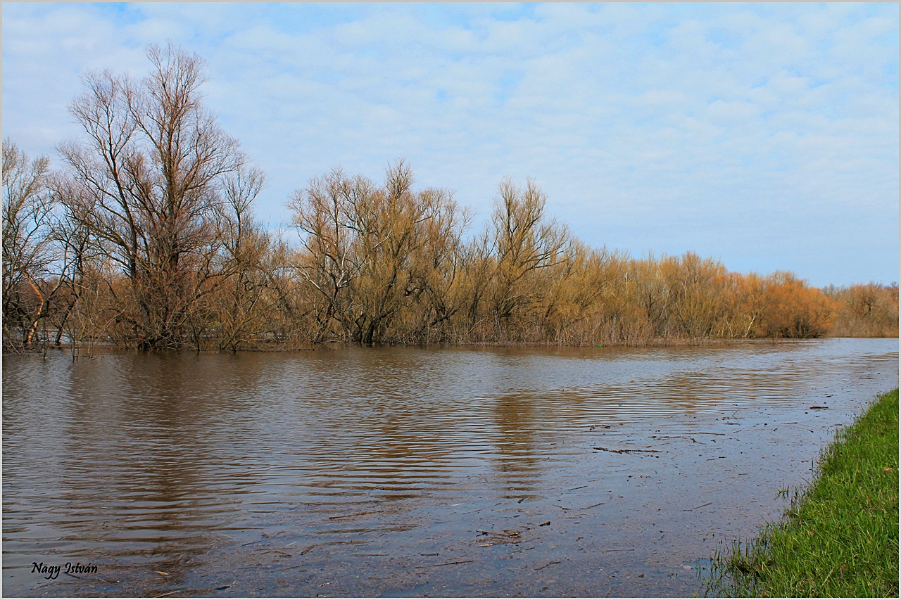 Árvíz 2013 - Hortobágy-Berettyó 069