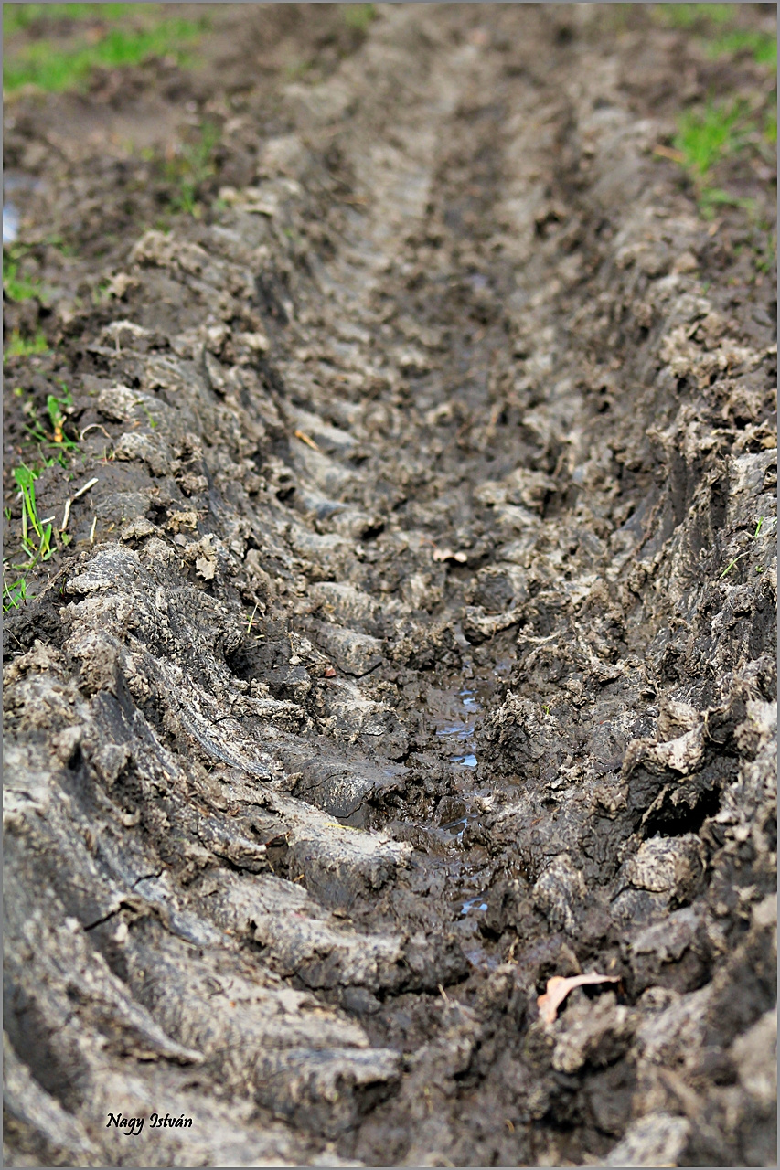 Árvíz 2013 - Hortobágy-Berettyó 085