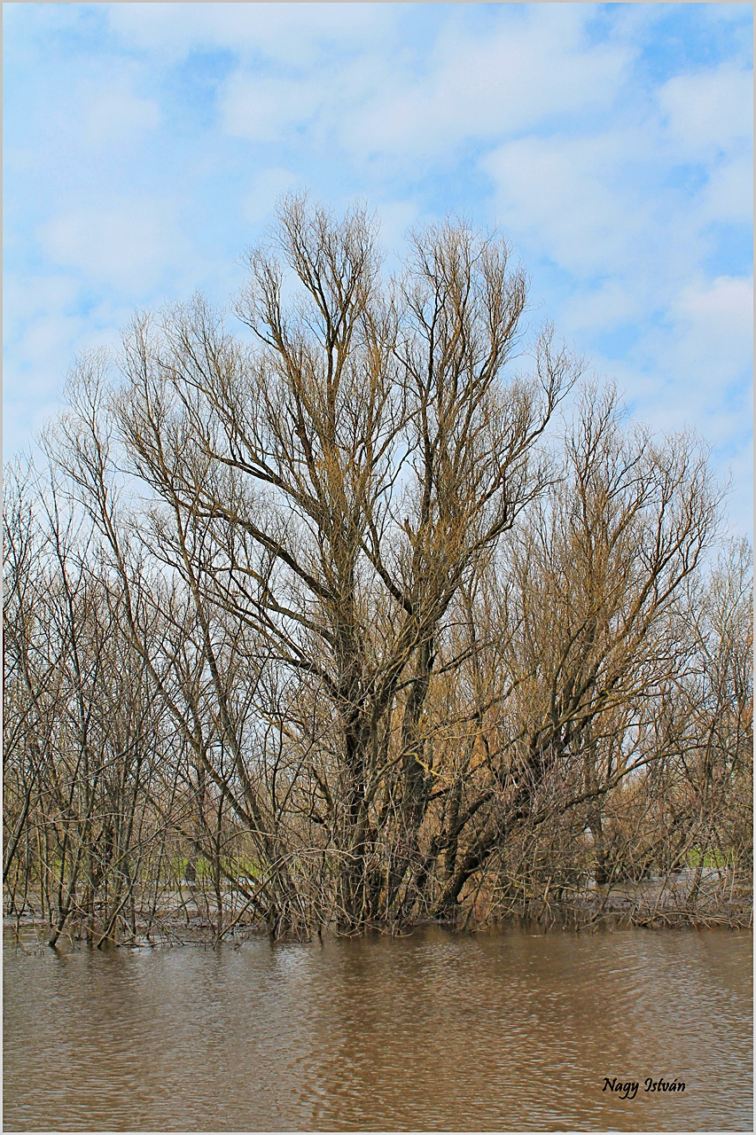 Árvíz 2013 - Hortobágy-Berettyó 070