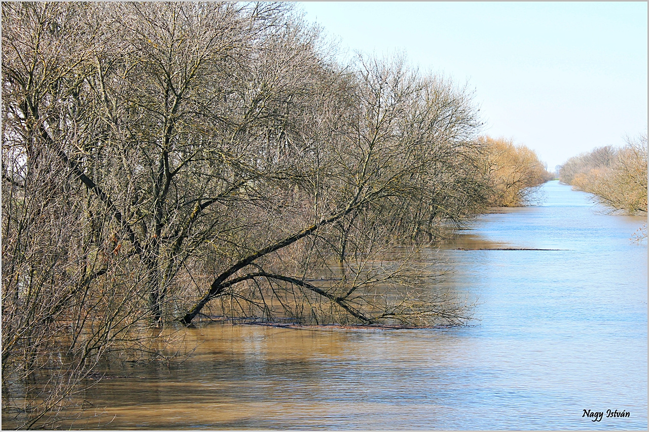 Árvíz 2013 - Hortobágy-Berettyó 007