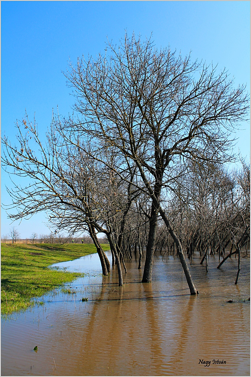 Árvíz 2013 - Hortobágy-Berettyó 011