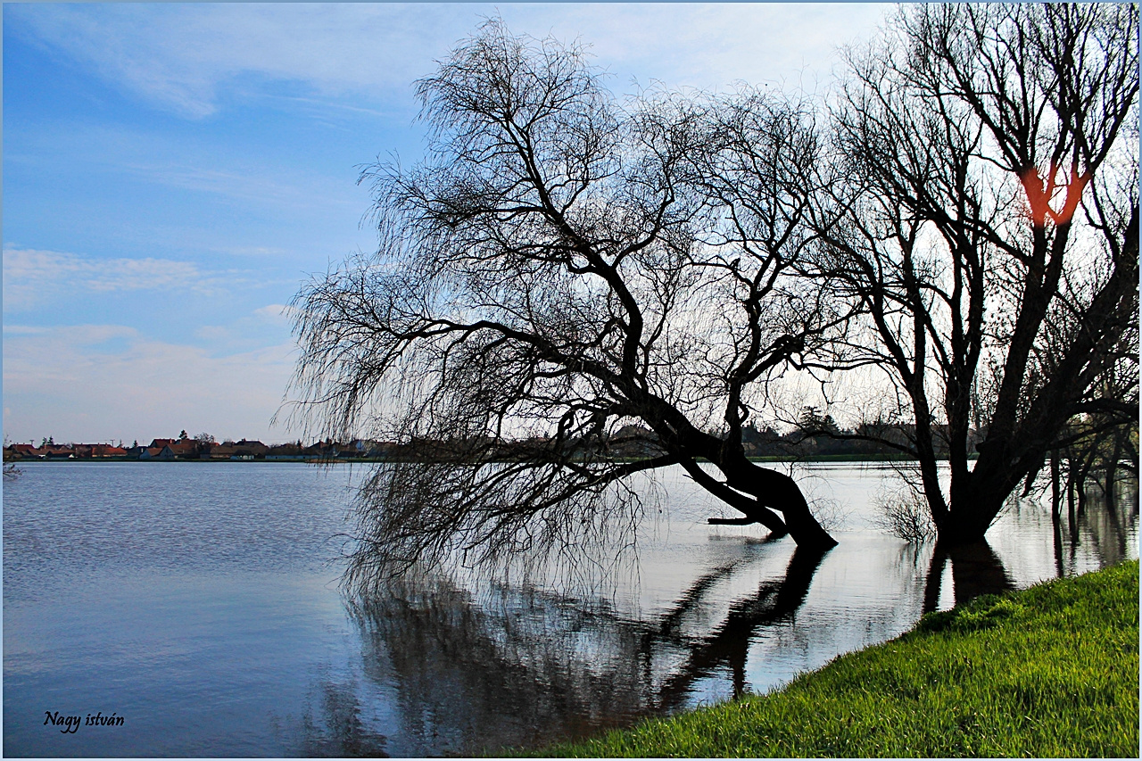 Árvíz 2013 - Hortobágy-Berettyó 065