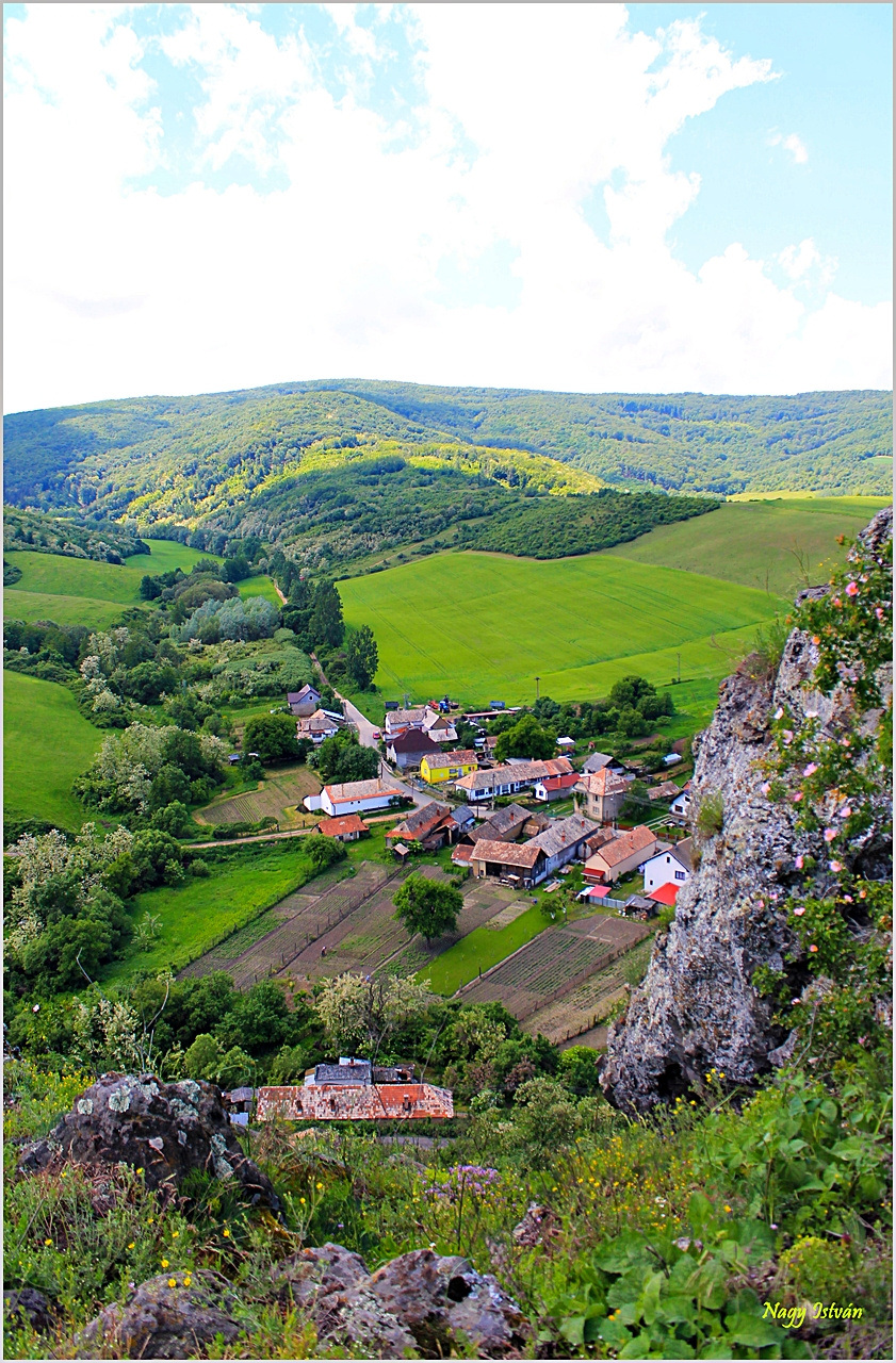 Sőreg 2013 013