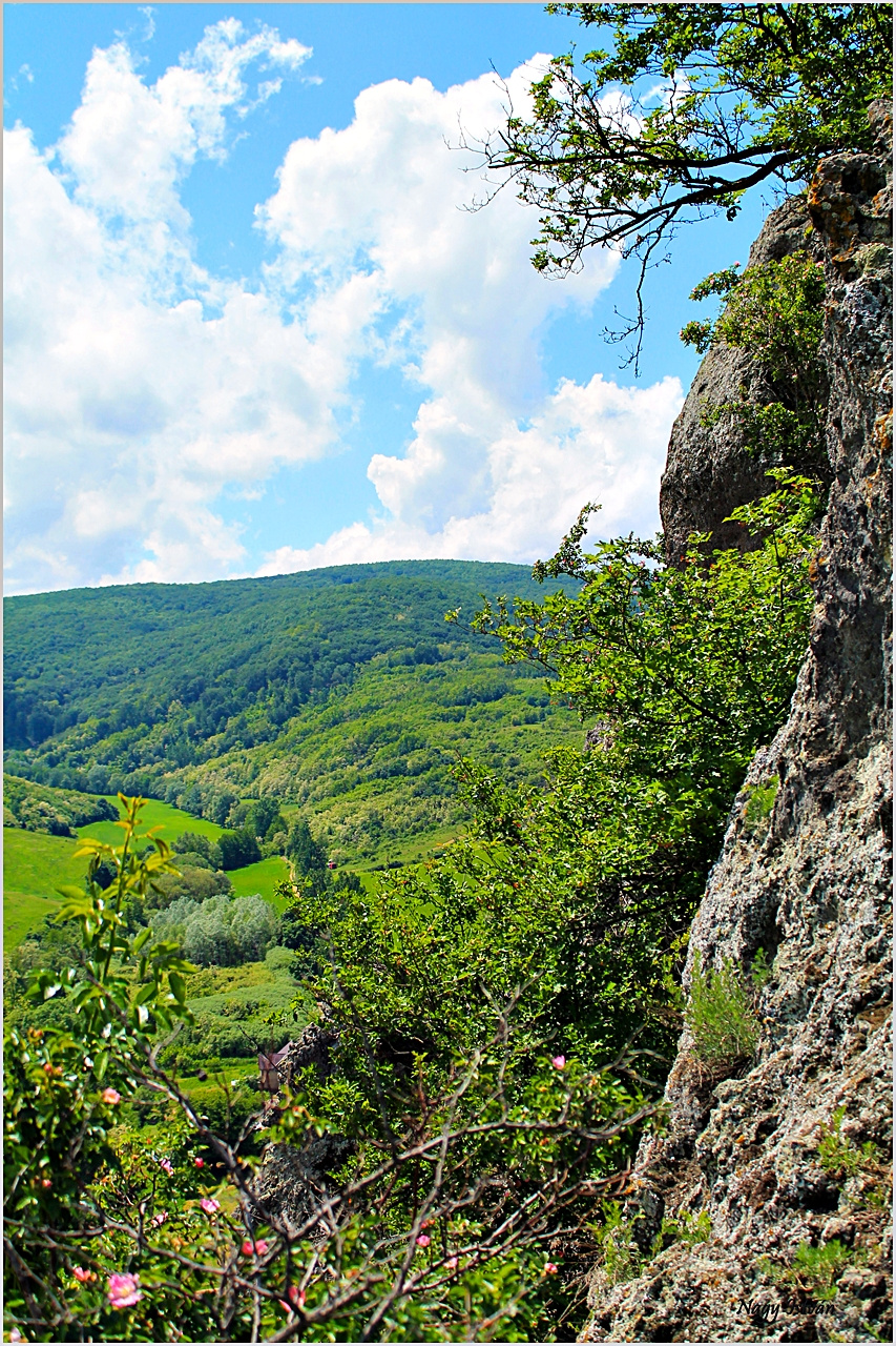 Sőreg 2013 026