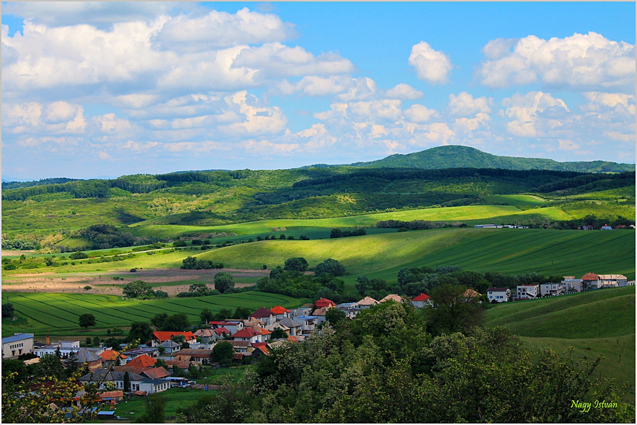 Sőreg 2013 021