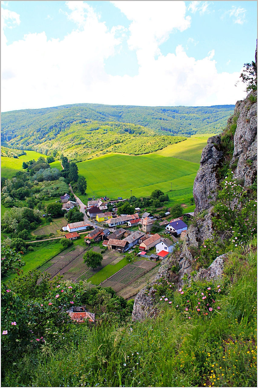 Sőreg 2013 017