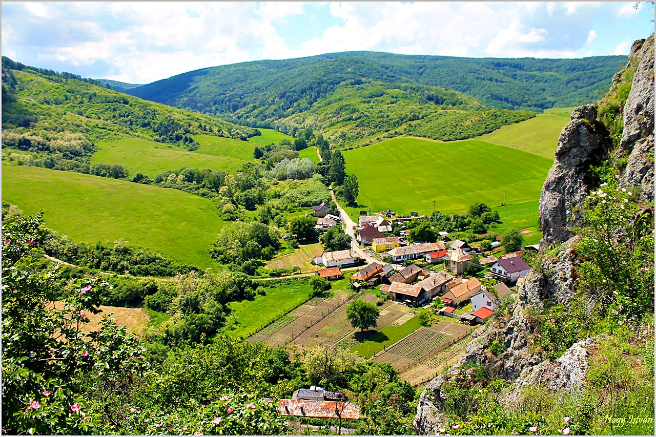 Sőreg 2013 027