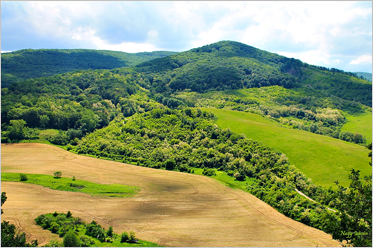 Sőreg 2013 022