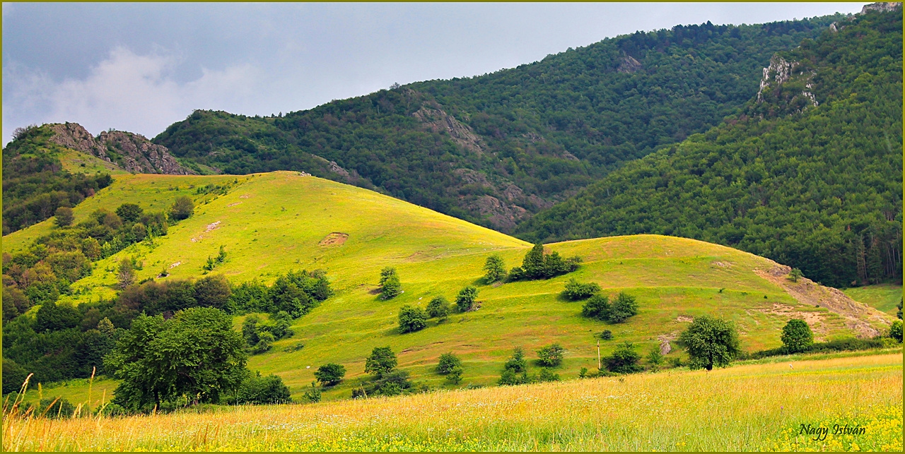 Torockó 2013 003