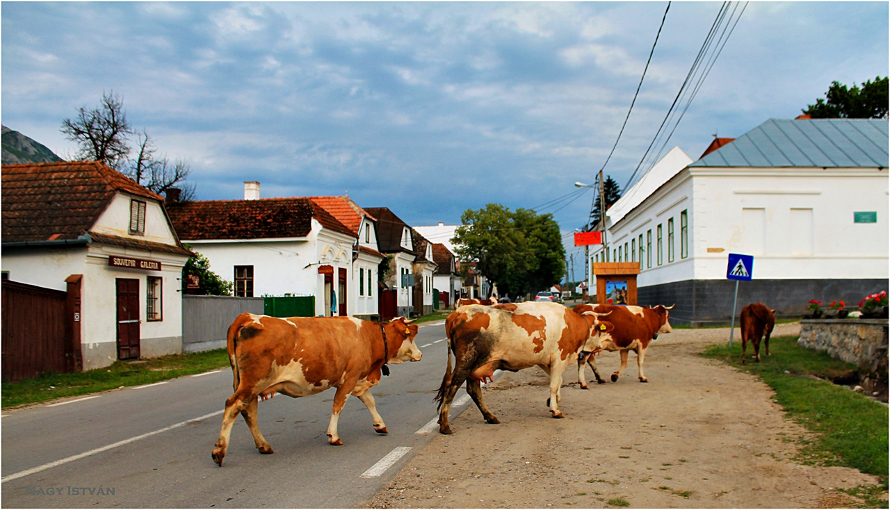 Torockó 2013 229