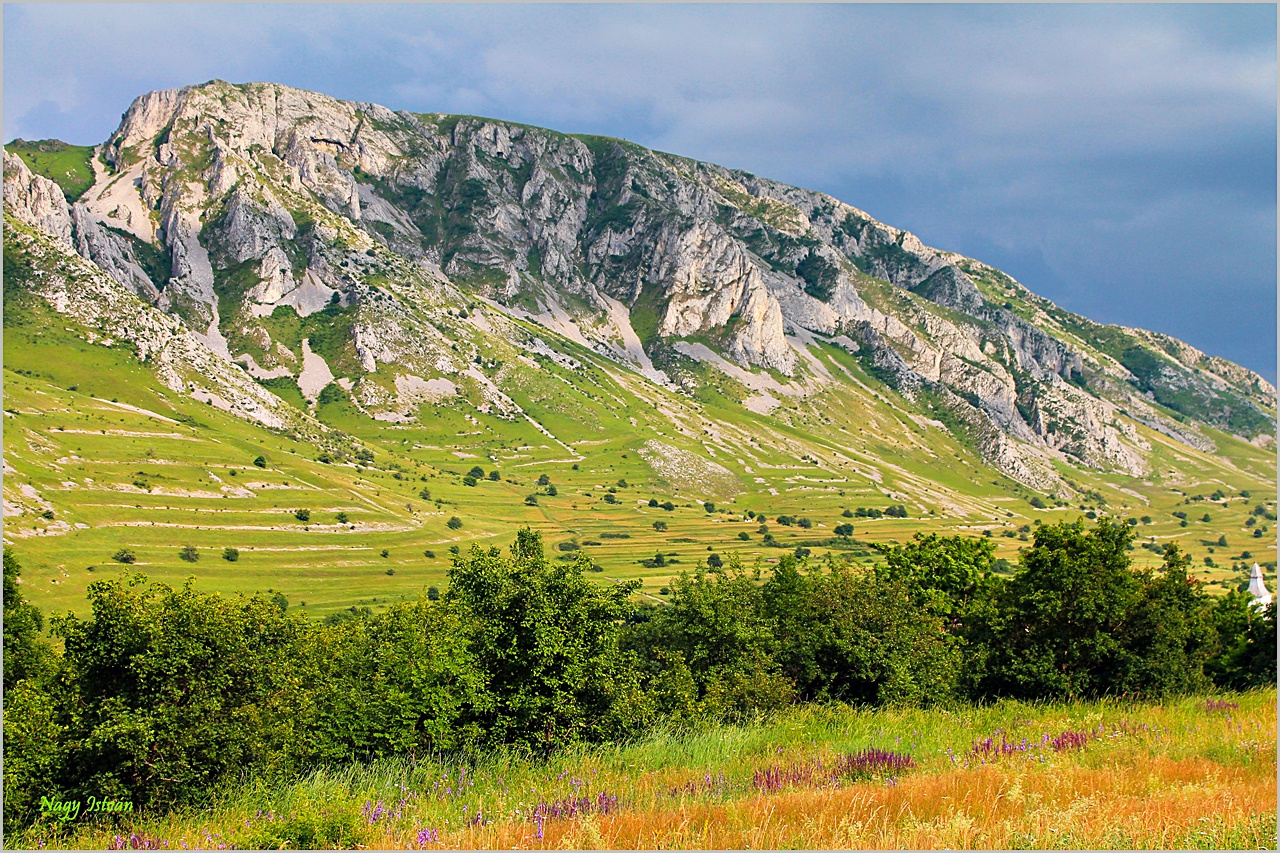 Torockó 2013 - Székelykő 026