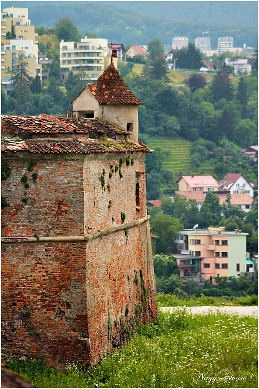 Brassó 2013 - Fellegvár 065