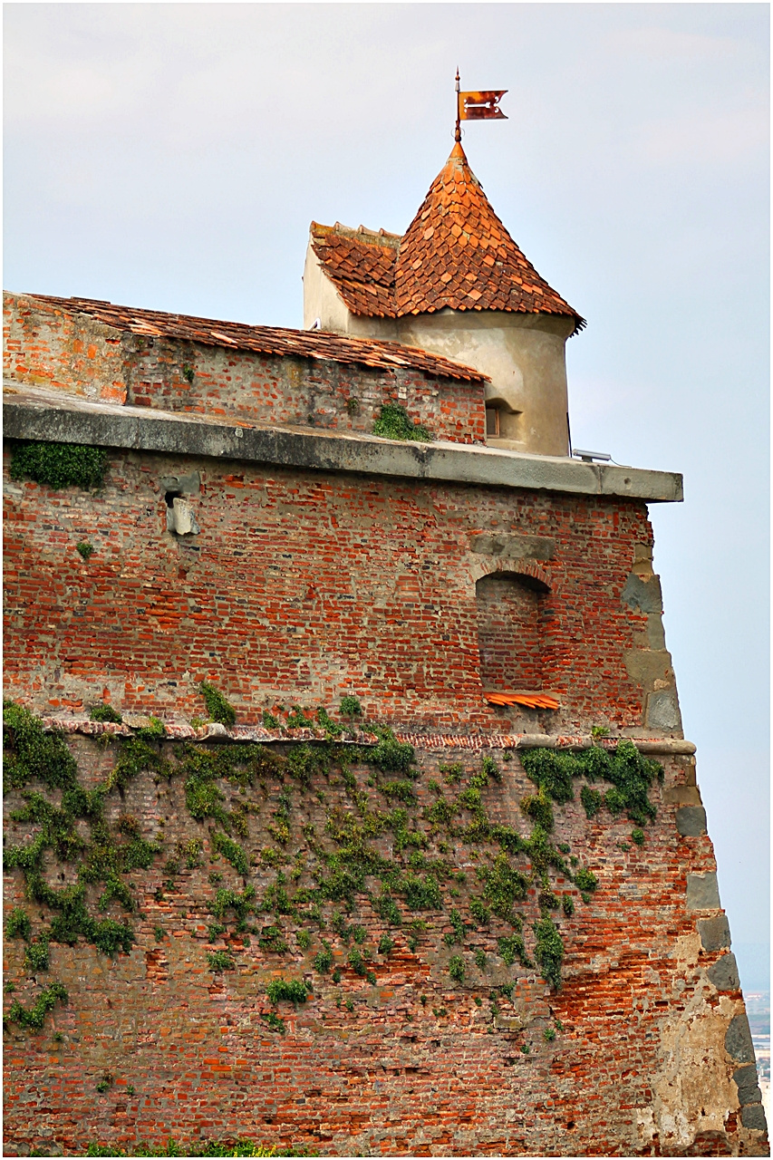 Brassó 2013 - Fellegvár 097