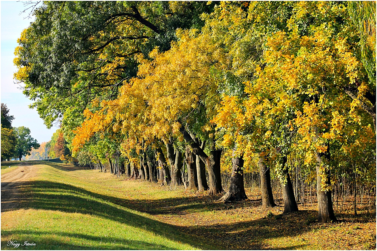 Hortobágy-Berettyó 2013 066